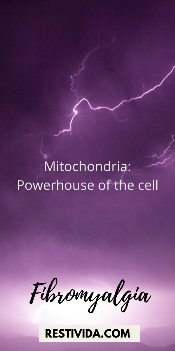 mitochondria Dysfunction