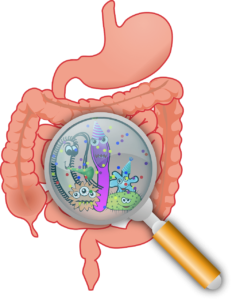 What is leaky gut