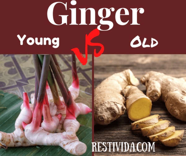 Health Benefits Of Ginger 8 Scientifically Proven