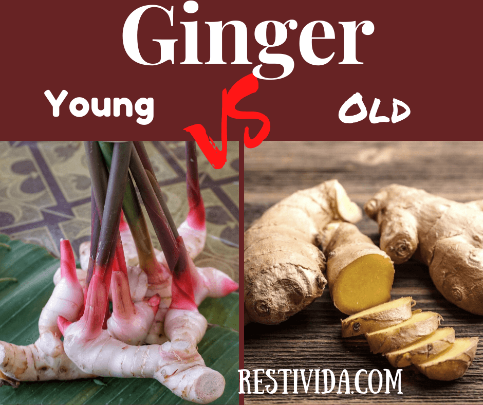 Health Benefits of Ginger